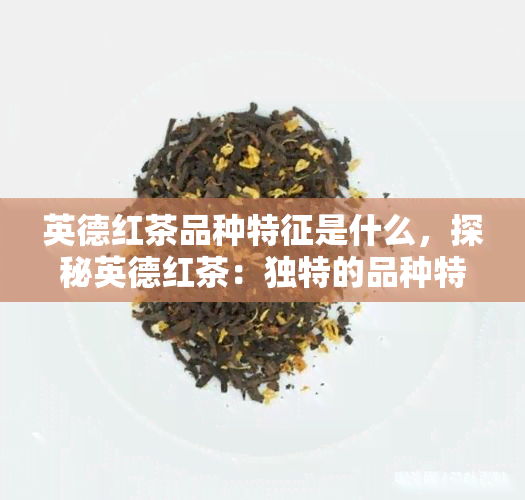 英德红茶品种特征是什么，探秘英德红茶：独特的品种特征解析