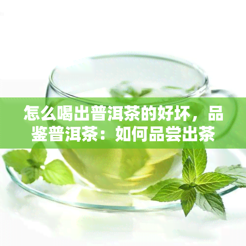 怎么喝出普洱茶的好坏，品鉴普洱茶：如何品尝出茶叶的优劣？