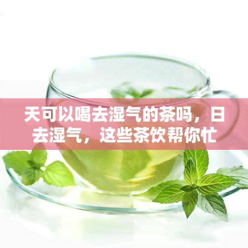 天可以喝去湿气的茶吗，日去湿气，这些茶饮帮你忙！