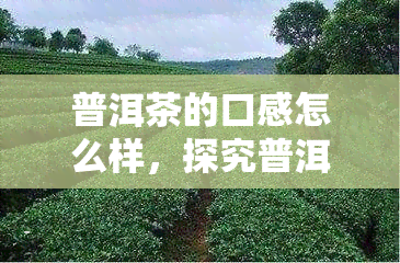 普洱茶的口感怎么样，探究普洱茶的独特口感：一种醇厚、深沉且带有果香的味道