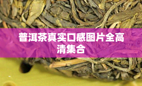 普洱茶真实口感图片全高清 *** 