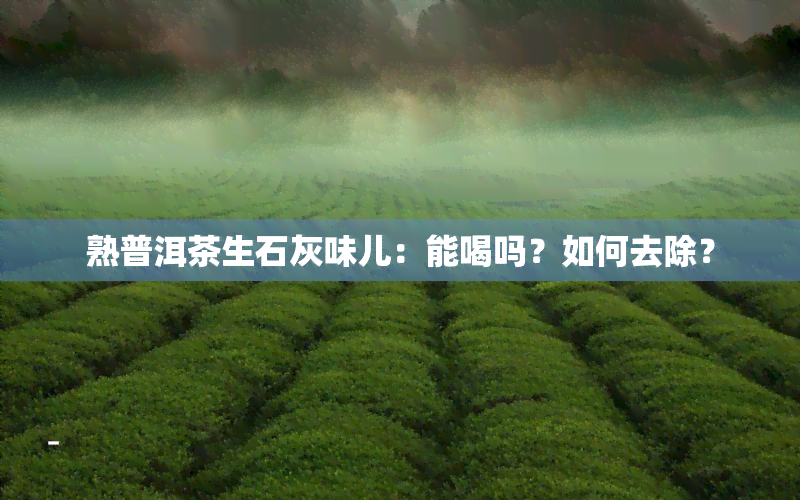 熟普洱茶生石灰味儿：能喝吗？如何去除？