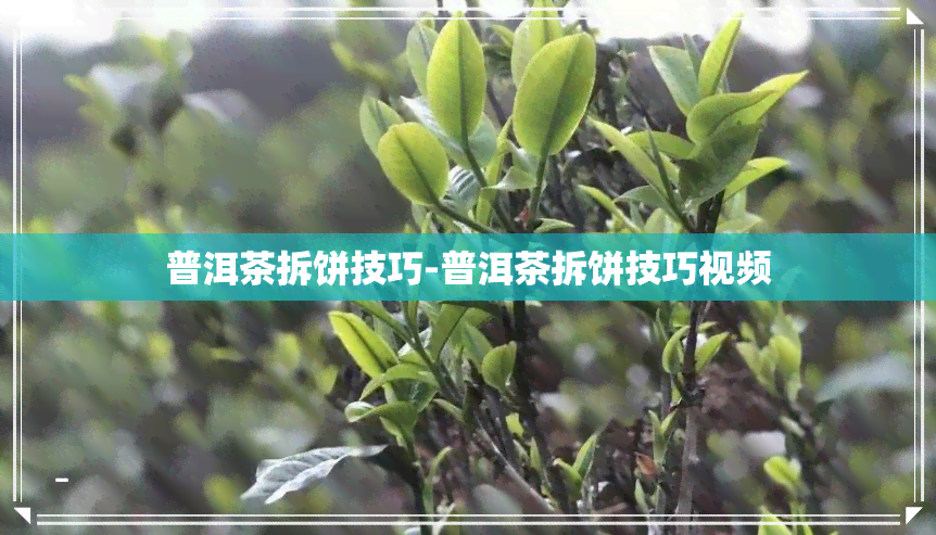 普洱茶拆饼技巧-普洱茶拆饼技巧视频