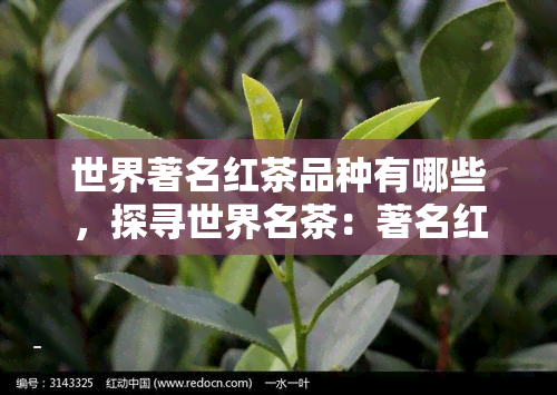 世界著名红茶品种有哪些，探寻世界名茶：著名红茶品种大盘点