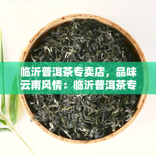 临沂普洱茶专卖店，品味云南风情：临沂普洱茶专卖店，尽享正宗普洱好茶