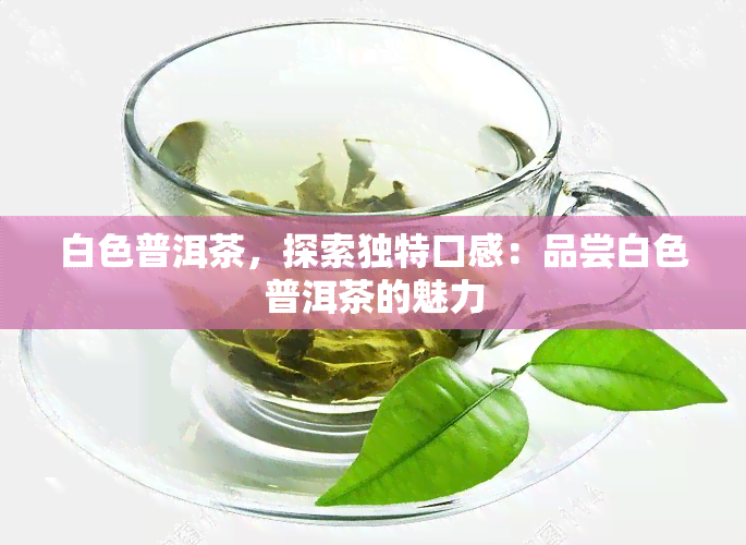 白色普洱茶，探索独特口感：品尝白色普洱茶的魅力