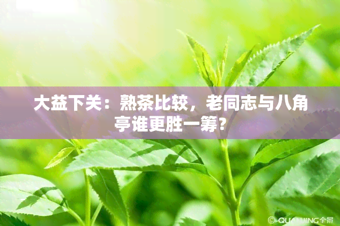 大益下关：熟茶比较，老同志与八角亭谁更胜一筹？