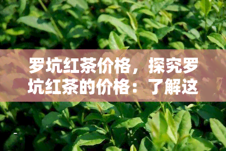 罗坑红茶价格，探究罗坑红茶的价格：了解这一优质茶叶的市场价格