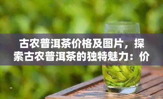 古农普洱茶价格及图片，探索古农普洱茶的独特魅力：价格与精美图片全面解析