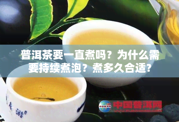 普洱茶要一直煮吗？为什么需要持续煮泡？煮多久合适？