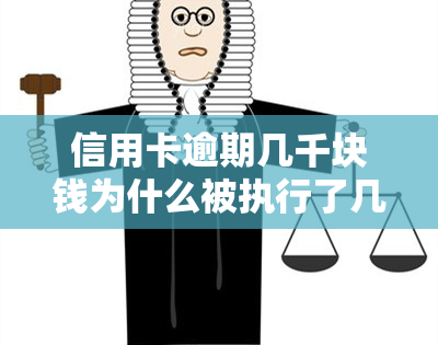 信用卡逾期几千块钱为什么被执行了几百万，信用卡逾期几千元，为何被法院执行数百万元？