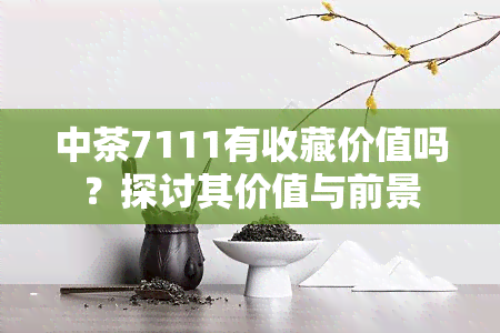 中茶7111有收藏价值吗？探讨其价值与前景