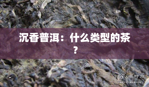 沉香普洱：什么类型的茶？