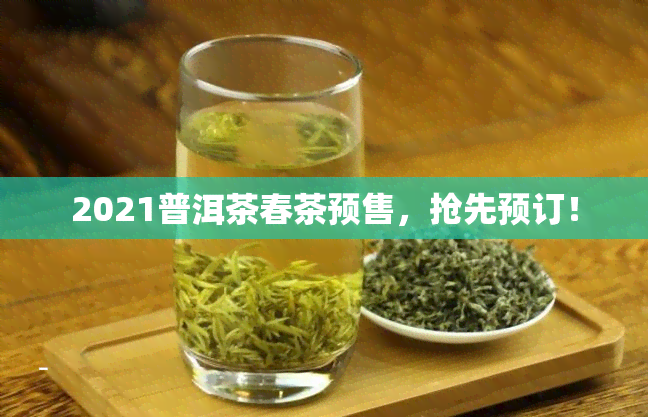 2021普洱茶春茶预售，抢先预订！