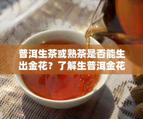 普洱生茶或熟茶是否能生出金花？了解生普洱金花的含义与图片