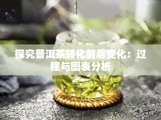 探究普洱茶转化前后变化：过程与图表分析