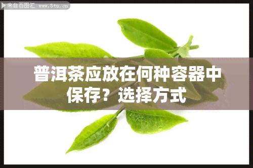 普洱茶应放在何种容器中保存？选择方式