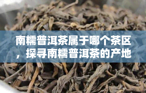 南糯普洱茶属于哪个茶区，探寻南糯普洱茶的产地：它属于哪个茶区？