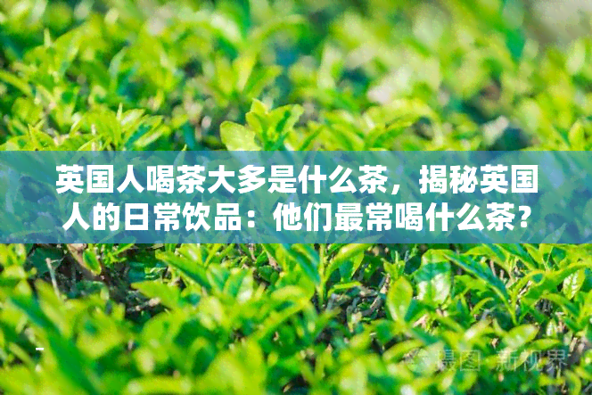 英国人喝茶大多是什么茶，揭秘英国人的日常饮品：他们最常喝什么茶？