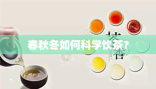 春秋冬如何科学饮茶？