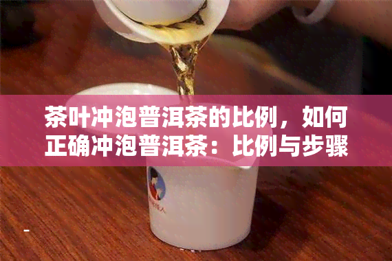 茶叶冲泡普洱茶的比例，如何正确冲泡普洱茶：比例与步骤全解析