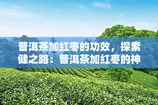 普洱茶加红枣的功效，探索健之路：普洱茶加红枣的神奇功效