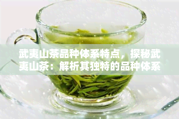 武夷山茶品种体系特点，探秘武夷山茶：解析其独特的品种体系特点