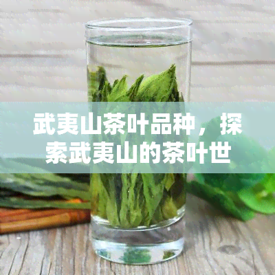 武夷山茶叶品种，探索武夷山的茶叶世界：品种与口感全解析