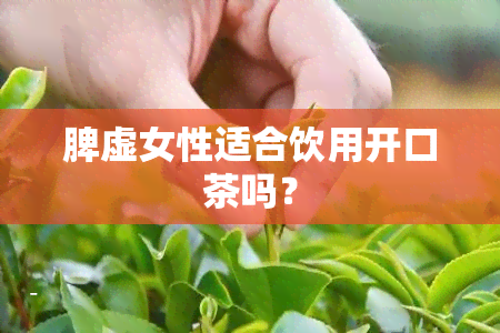 脾虚女性适合饮用开口茶吗？