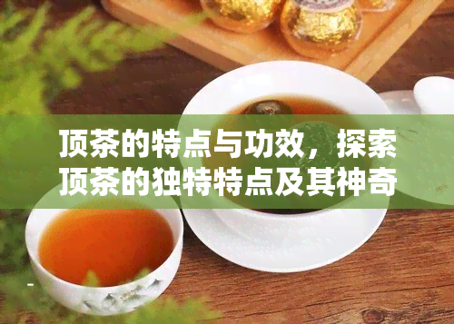 顶茶的特点与功效，探索顶茶的独特特点及其神奇功效