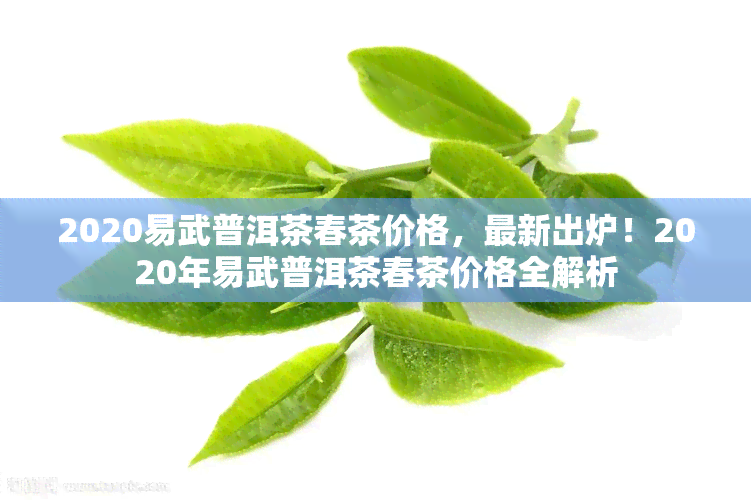 2020易武普洱茶春茶价格，最新出炉！2020年易武普洱茶春茶价格全解析