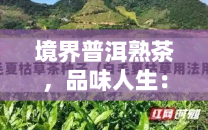 境界普洱熟茶，品味人生：探索境界普洱熟茶的世界