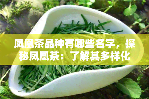 凤凰茶品种有哪些名字，探秘凤凰茶：了解其多样化的品种名称