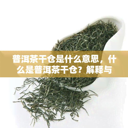 普洱茶干仓是什么意思，什么是普洱茶干仓？解释与含义解析