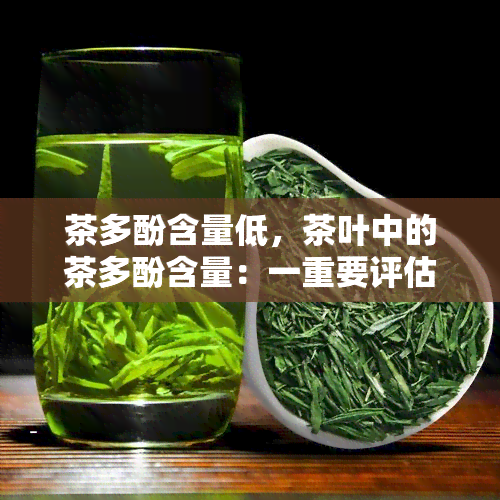 茶多酚含量低，茶叶中的茶多酚含量：一重要评估标准