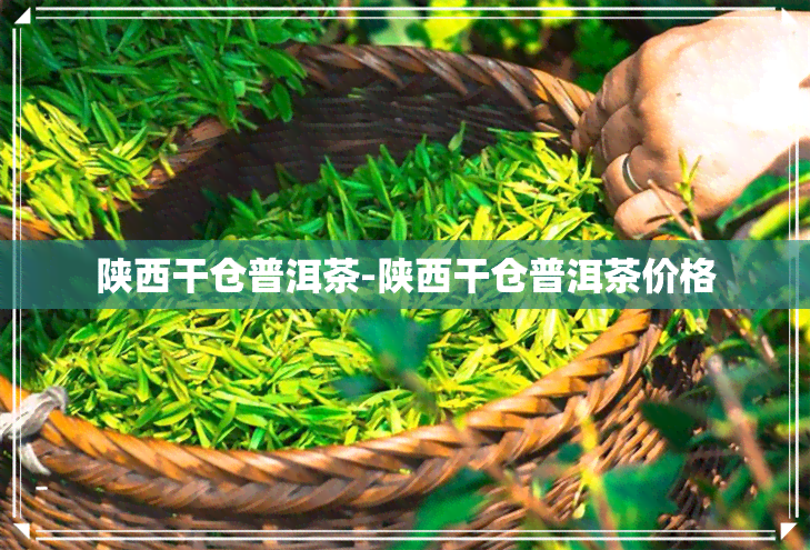 陕西干仓普洱茶-陕西干仓普洱茶价格