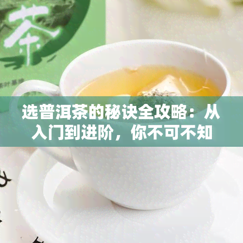 选普洱茶的秘诀全攻略：从入门到进阶，你不可不知的知识点