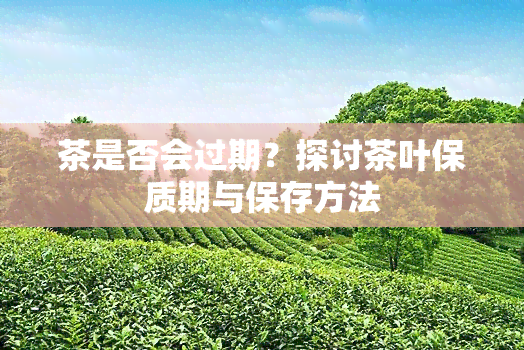 茶是否会过期？探讨茶叶保质期与保存方法