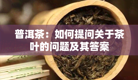 普洱茶：如何提问关于茶叶的问题及其答案