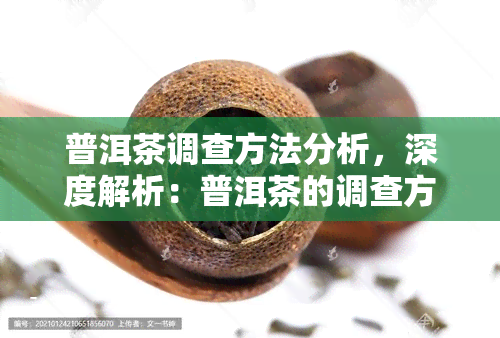 普洱茶调查方法分析，深度解析：普洱茶的调查方法分析