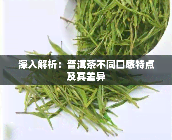 深入解析：普洱茶不同口感特点及其差异