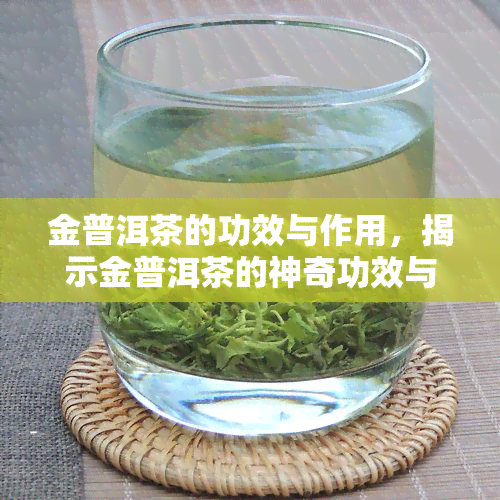 金普洱茶的功效与作用，揭示金普洱茶的神奇功效与作用，喝出健人生！