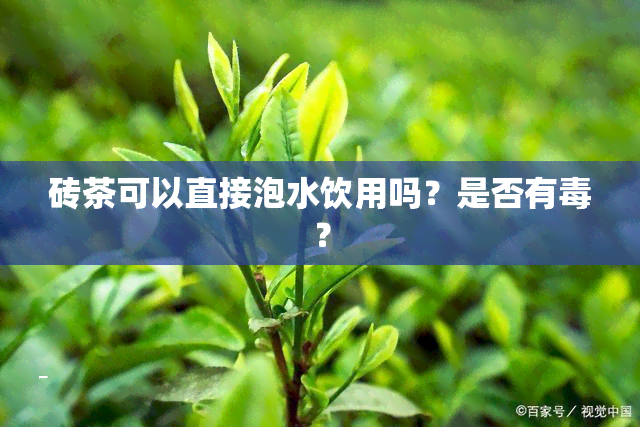 砖茶可以直接泡水饮用吗？是否有？