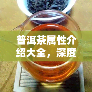 普洱茶属性介绍大全，深度解析：普洱茶的全部属性，让你全面了解这种独特的茶叶！