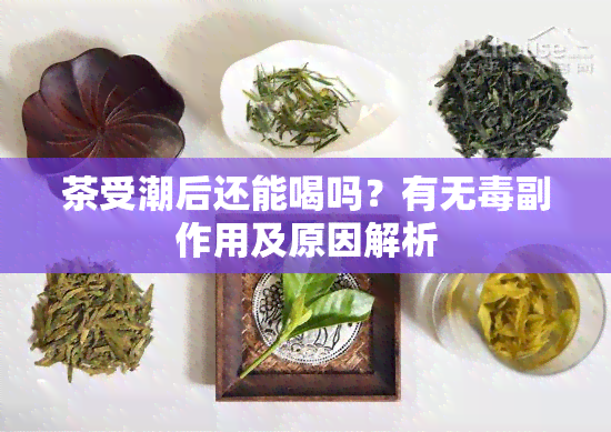 茶受潮后还能喝吗？有无副作用及原因解析