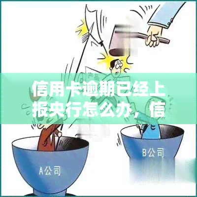 信用卡逾期已经上报央行怎么办，信用卡逾期已上报央行，如何应对？