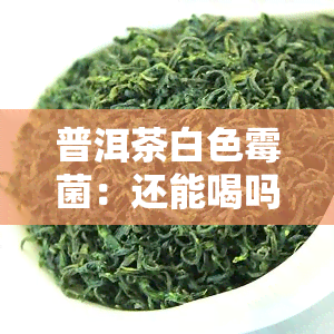 普洱茶白色霉菌：还能喝吗？对女性健有影响吗？是否有？