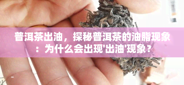 普洱茶出油，探秘普洱茶的油脂现象：为什么会出现'出油'现象？