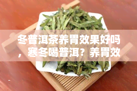 冬普洱茶养胃效果好吗，寒冬喝普洱？养胃效果如何？