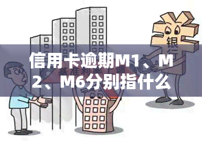 信用卡逾期M1、M2、M6分别指什么？